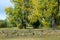 Wooden bench in autumn Park in September