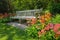 Wooden bench and bright blooming flowers