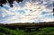 A wooden bench at a cornfield with sky with clouds. Beautiful agricultural field