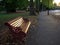 Wooden bench at dusk at Battersea Park in London.