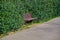 Wooden bench embedded inside the green plants and ivy near the pathway made of asphalt.