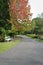 Wooden bench in empty garden path