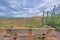 Wooden bench facing the view of cactus landscape on a slope at Tucson, Arizona