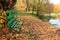 Wooden bench in forest near lake on background of colorful autumn leaves.