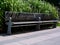 Wooden bench on gray metal frame in public park. lush green bush behind it.