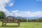 Wooden Bench on green grass with spectacular tropical view, Seychelles