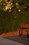 A wooden bench and a green hedge behind