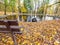 Wooden bench hidden in autumn colorful forest at pond bank. Bright leaves