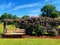 A wooden bench inside Elizabeth Park rose garden