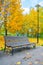 A wooden bench and a lamppost in park