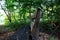 Wooden bench in a local trail park