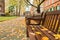 Wooden bench in London public park with falling leaves in autumn