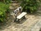 wooden bench lonely at the public park