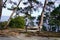 Wooden bench looking lake in dune  forest beach Hourtin village in gironde France