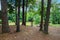 A wooden bench made with two barrels and a barbeque pit on a hill overlooking the Chattahoochee river