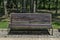 Wooden bench on main alley in the forest at natural old North park