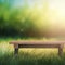 Wooden bench in a meadow with green bright light in garden background of grass and blurred foliage bokeh
