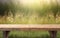 Wooden bench in a meadow with green garden background of grass and blurred foliage