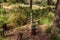 A wooden bench with a multi-eyed face carved on it in the Totem park in the forest near the villages of Har Adar and Abu Ghosh