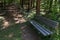 Wooden bench next to dirt pathway under coniferous trees,