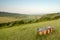 Wooden Bench in the North Downs