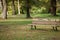 Wooden bench in the park. Empty autumn park on sunny day. Scenic fall landscape. Outdoor furniture. Leisure and relax concept.