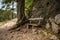 Wooden bench by the Path in the forest near Black Lake on mount Durmitor near Zabljak city in northern Montenegro.