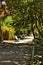 Wooden bench and Path between green vegetation in a garden