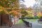 Wooden bench for rest and trees in London public garden turn orange and yellow in autum