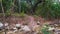 Wooden bench set on top of small hill above slow running stream in a forest