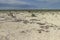 Wooden bench in the steppe. On the bench is a tourist backpack. Blue sky, land covered with small shells, steppe grass