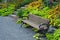 Wooden bench in summer garden