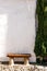 Wooden bench to sit and think or rest against a white concrete wall and spruce on one side