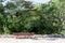 Wooden Bench Trees plants grass and greenery in the highway of Rosenheim new autobahn Germany