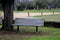 Wooden Bench under a tree at Mission Espada