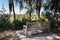 Wooden bench with a view of coastal marsh lands