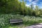 Wooden bench at walkway