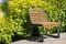 Wooden bench with wooden trash can in a park with green spaces on a summer day, nobody.