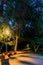 wooden benches in an empty night park, lit by the light of a street lamp