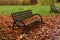 Wooden benches and fallen yellowed leaves in park