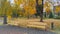 Wooden benches on metal bases are set on a concrete paved area next to a grassy lawn strewn with fallen leaves in the autumn. Near