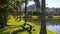 Wooden Benches Next To A Beautiful Lake At A Resort - Pan - Right To Left