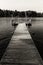 Wooden Benches On A Pier