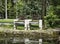 Wooden benches reflecting in water in the park