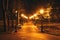 Wooden benches, street lights and park alley