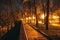 Wooden benches, street lights and park alley