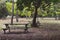 Wooden benches and tables in empty park. Recreation and rest place concept. Camping and picnic place in forest.