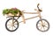 Wooden bicycle