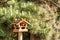 Wooden bird feeder near forest. Feeding birds. Home production feeders