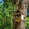 Wooden bird feeder with a perch hanging on a tree trunk among green foliage illuminated by a bright sun